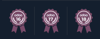 Selos Odoo Partner